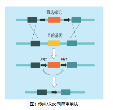 ]NE4P7CDTWOS@_D0~8DJ`{S.png